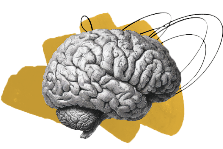 Brain collage